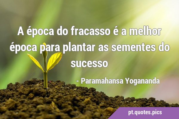 É a sua vez de brilhar!  Citações inspiradoras, Frases de auto